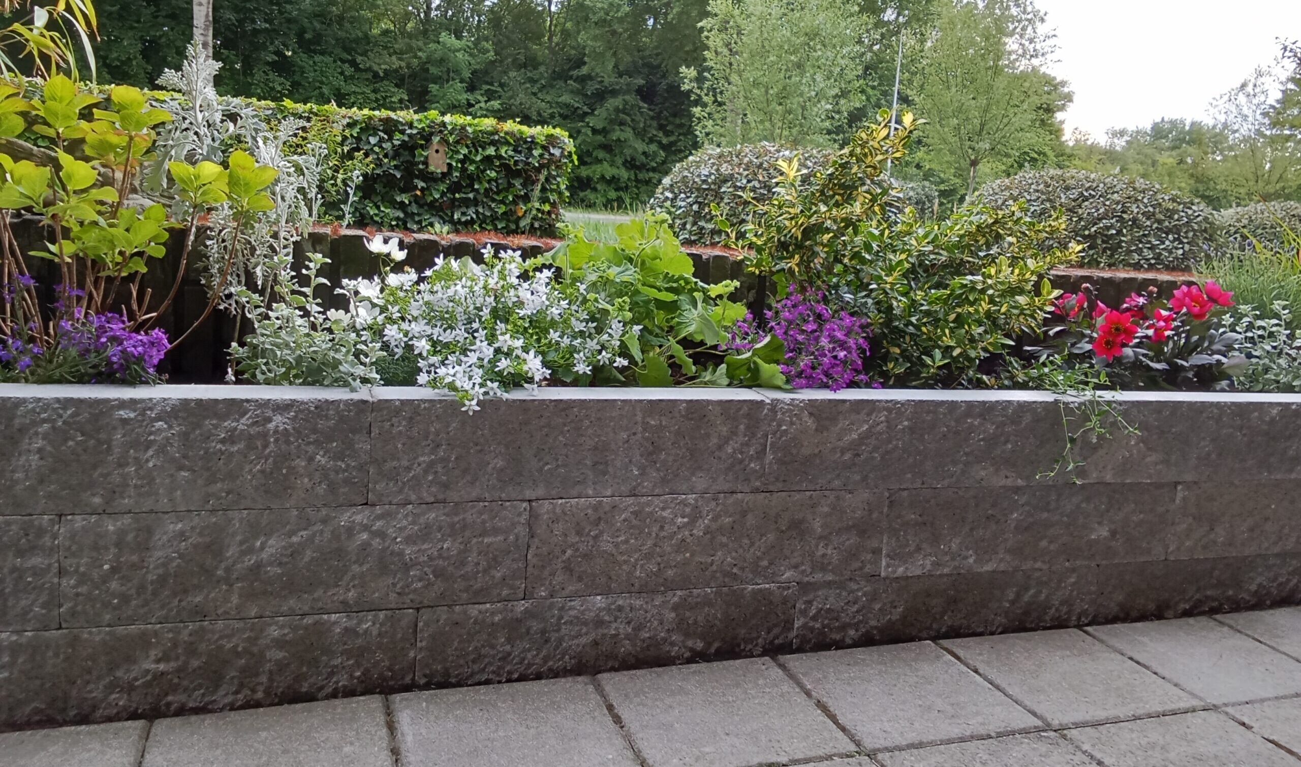 Tuinonderhoud