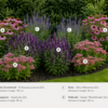 Van Belzen Tuinen - VB Vlinderborder box VB Vlinderborder Box